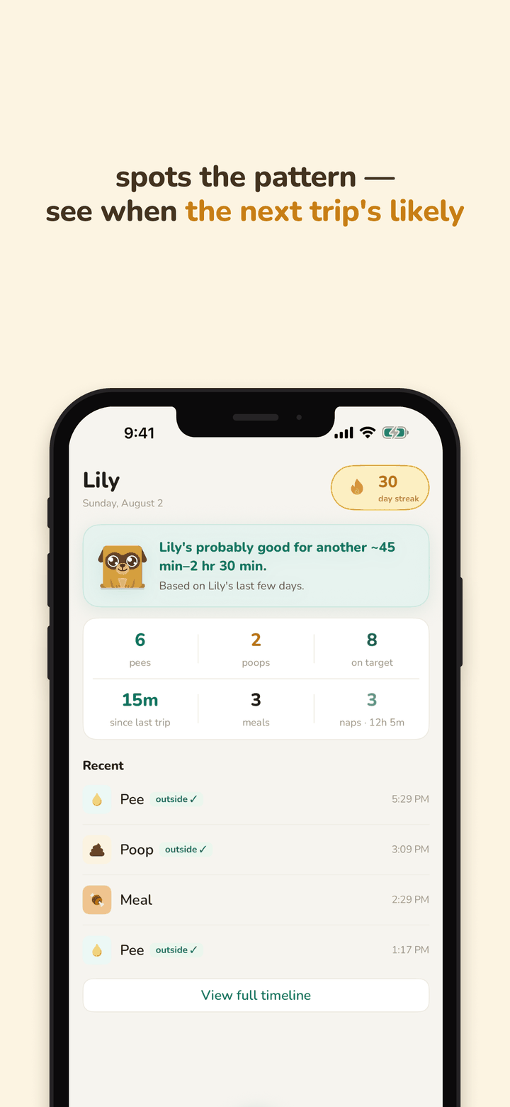 Spots the pattern — see when the next trip is likely. The Today screen shows how long Lily is probably good for, today’s counts, and recent activity.